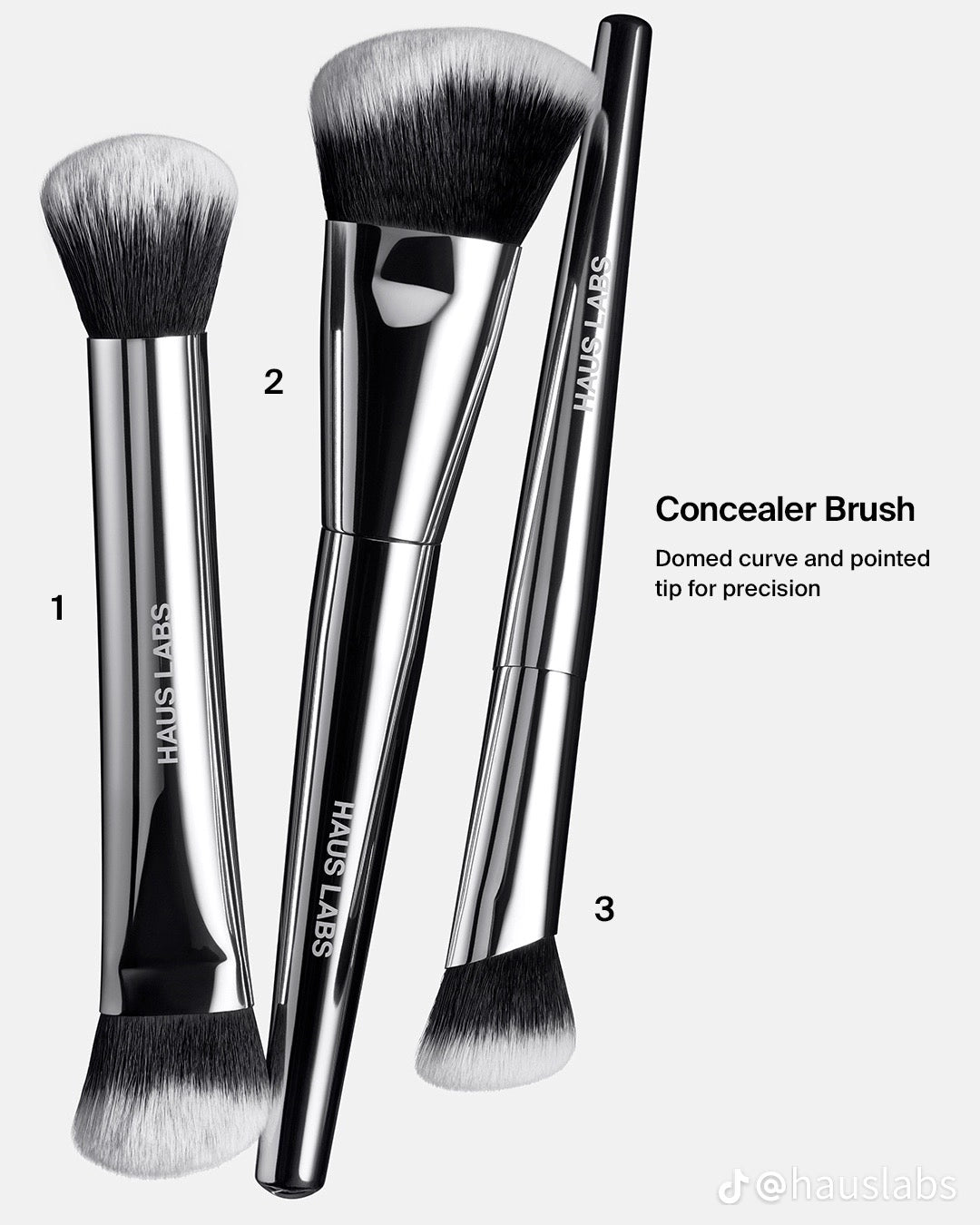 HAUS LABS - brushes set